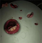 YEAR OF THE SNITCH【輸入盤】▼|DEATH GRIPS|HSUY-10232