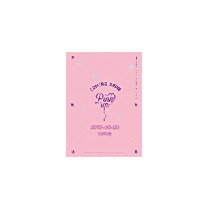 PINK UP(A-VER.)yAՁz|APINK|L-200001438