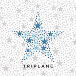 �C�`�o���{�V(���񐶎Y�����)|TRIPLANE|NFCD-27322/B