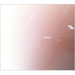 �{���͐��V�Ȃ�|�T�j�[�f�C�E�T�[�r�X|ROSE-102