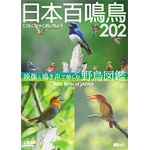 �V���t�H���X�gDVD ���{�S�� 202 �f���Ɩ����Ŗ����ޖ쒹�}��|���{|SDB-13          