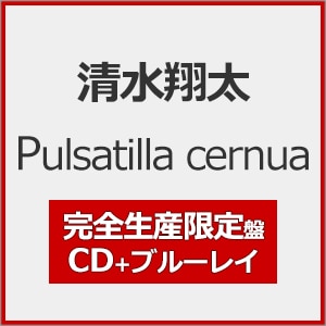 [撅Tt]Pulsatilla cernua(SY)yCD+Blu-rayz|đ|SRCL-13330/1