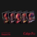 PLAVE 3RD MINI ALBUM 'CALIGO PT.1' (VANGUARD VER.)[8�Z���`CD]�y�A���Ձz��|PLAVE|YP-0563