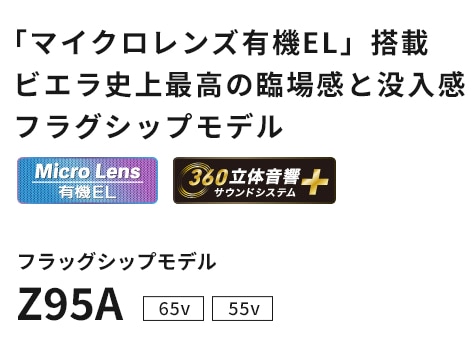 Z95A