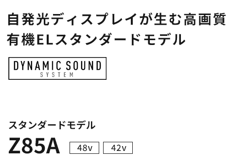 Z85A