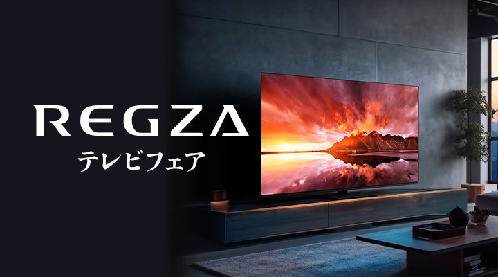 レグザ　テレビフェア