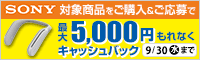 ソニー 敬老の日キャッシュバックキャンペーン
