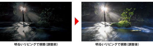ブルーレイレコーダー［6TB HDD /3番組同時録画 /4Kチューナー