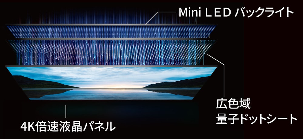 TVS REGZA Mini LED 液晶テレビ REGZA レグザ [ 55V型 / 4K