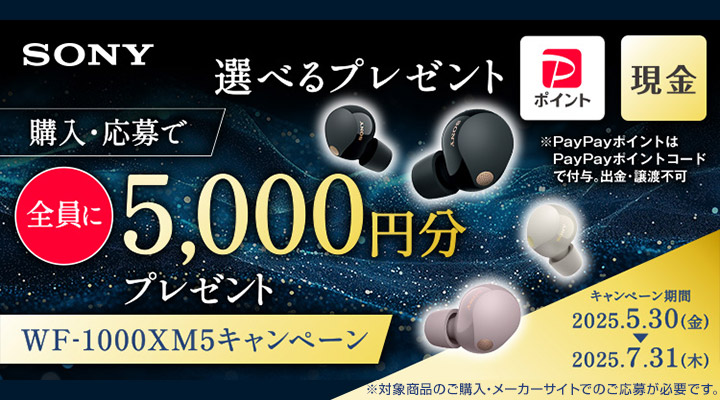 早い者勝ちタイムセールWF-1000XM5 SONY WF-1000XM5 価格比較 - 価格.com