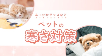 あったかグッズなど！ペットの寒さ対策