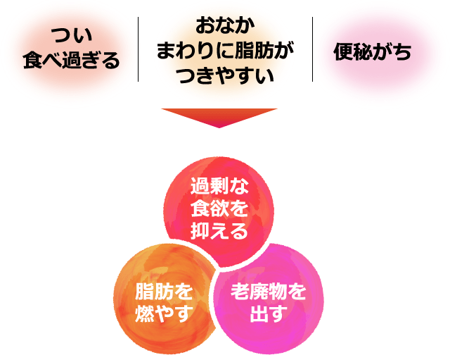 漢方薬「防風通聖散」配合商品
