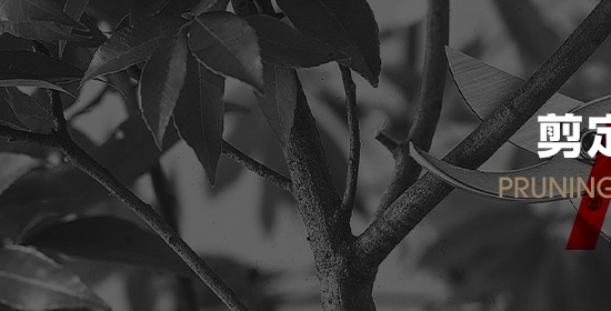 剪定鋏
