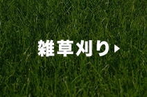 雑草刈り