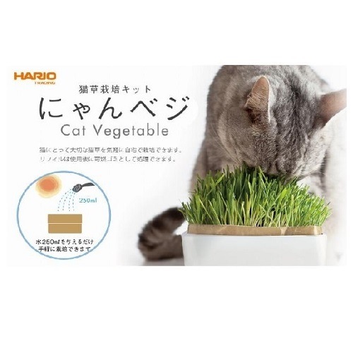 猫草栽培キット にゃんベジセット | ハリオ商事 猫草栽培キット にゃんベジセット | ハリオ商事