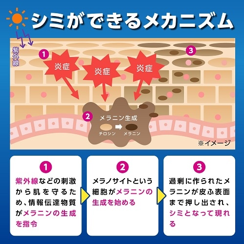 商品特長