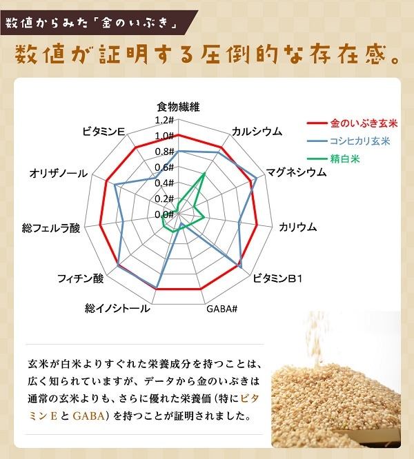 おトク情報がいっぱい！ 金のいぶき 玄米 3kg 高機能玄米 令和3年産 小分け 1kg×3袋 宮城県産 真空圧縮パック  xn--krntner-pflege-service-04b.at