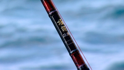 24 極翔 石鯛 540置竿 | シマノ | 24キョクショウイシダイ 540