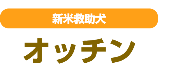 �I�b�`��