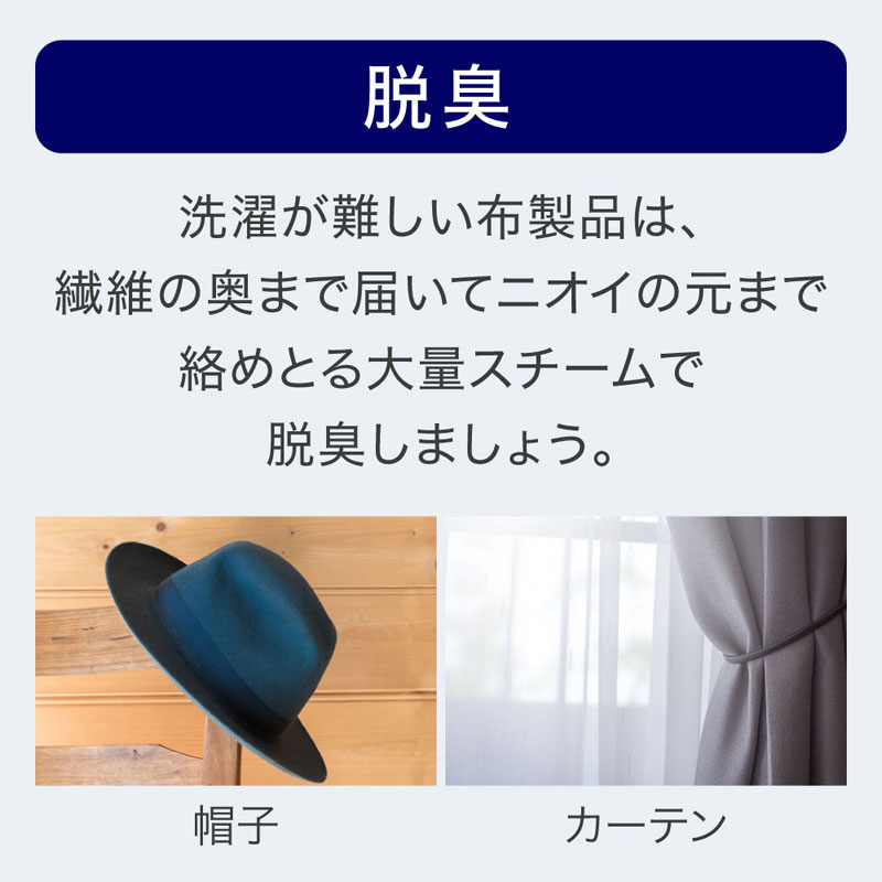 TAMAN フェイススチーマー シルバー 本体・箱・電源ケーブル付き 電源ケーブル(1.8m) | オヤイデ | TUNAMI GPX V2 | Joshin web