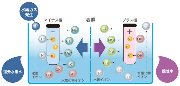据置型水素水生成器(シルバー) 有機フッ素化合物 PFOS/PFOA除去 据置型水素水生成器(シルバー) 有機フッ素化合物 PFOS/PFOA除去