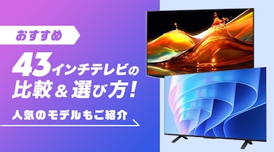 �y�������߁z43�C���`�i43�^�j�e���r�̔�r���I�ѕ��I�l�C�̃��[�J�[�����Љ�