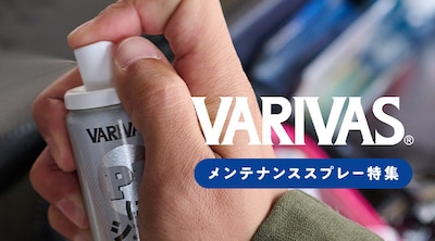 VARIVAS �����e�i���X�X�v���[���W