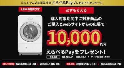 �����@CX100P�@�L���b�V���o�b�N�L�����y�[��