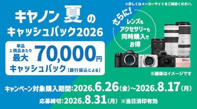 �L���m�� �L���b�V���o�b�N�L�����y�[��