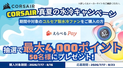 CORSAIR �^�Ă̐���L�����y�[��