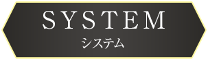 SYSTEM