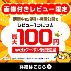 レビュー投稿で最大100円WEBクーポン