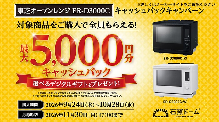 ���� �d�q�����W�uD3000C �L���b�V���o�b�N�L�����y�[���v