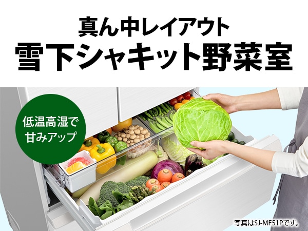 真ん中レイアウト 雪下シャキット野菜室