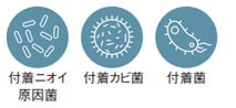 ニオイ原因菌