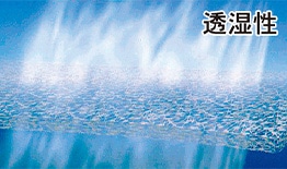 透湿性