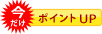 今だけポイントUP!