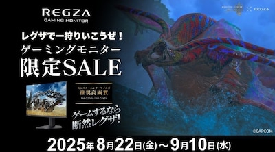 レグザゲーミングディスプレイSALE