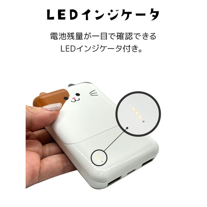 Type-C1ポート/USB2ポート モバにゃー おでかけモバイル