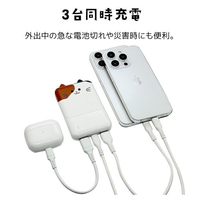 Type-C1ポート/USB2ポート モバにゃー おでかけモバイル