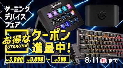 ゲーミングデバイスフェア