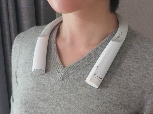 ネックバンド型