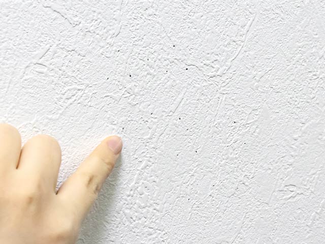 壁に残るピン痕はこの通り
