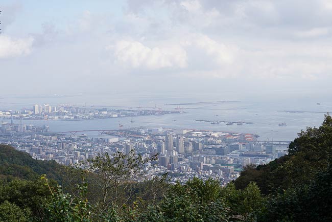 レンズ：FE 28-60mm F4-5.6(SEL2860)<br>
                           絞り：f5.6<br>
                           シャッター速度：1/320<br>
                           ISO：100<br>
                           露出補正：0