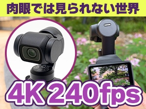 DJI �f�W�^���J���� Osmo Pocket 4