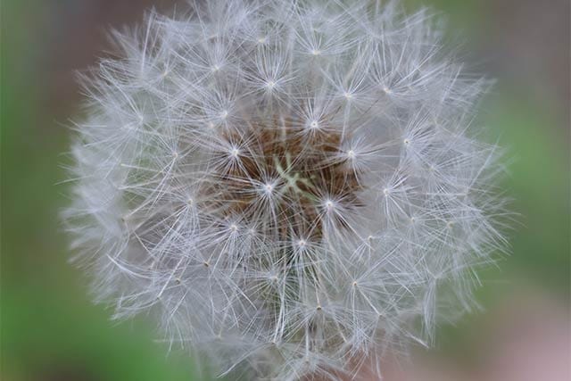 レンズ：RF-S55-210mm F5-7.1 IS ST / 絞り：f8 / シャッター速度：1/400 / ISO：1250 / 露出補正：0