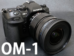 OM SYSTEM@~[XJuOM SYSTEM OM-1v{fB@OM-1ި-