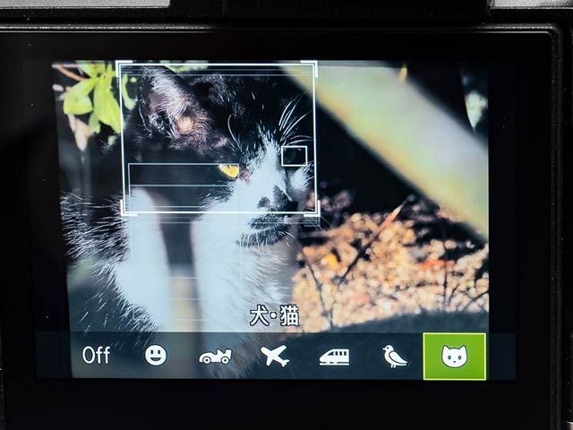 6種類のAI被写体認識AF