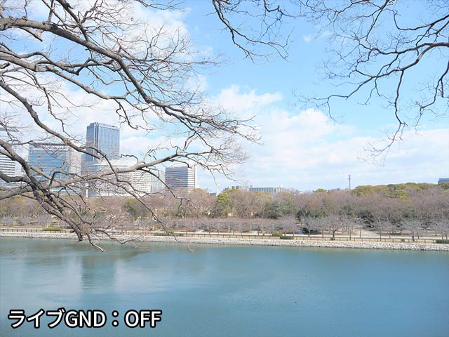 全体的に明るくふわっとした雰囲気