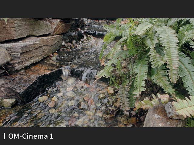 動画の切り抜き/OM-Cinema1